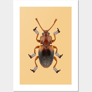 Billy The Booted Beetle Posters and Art